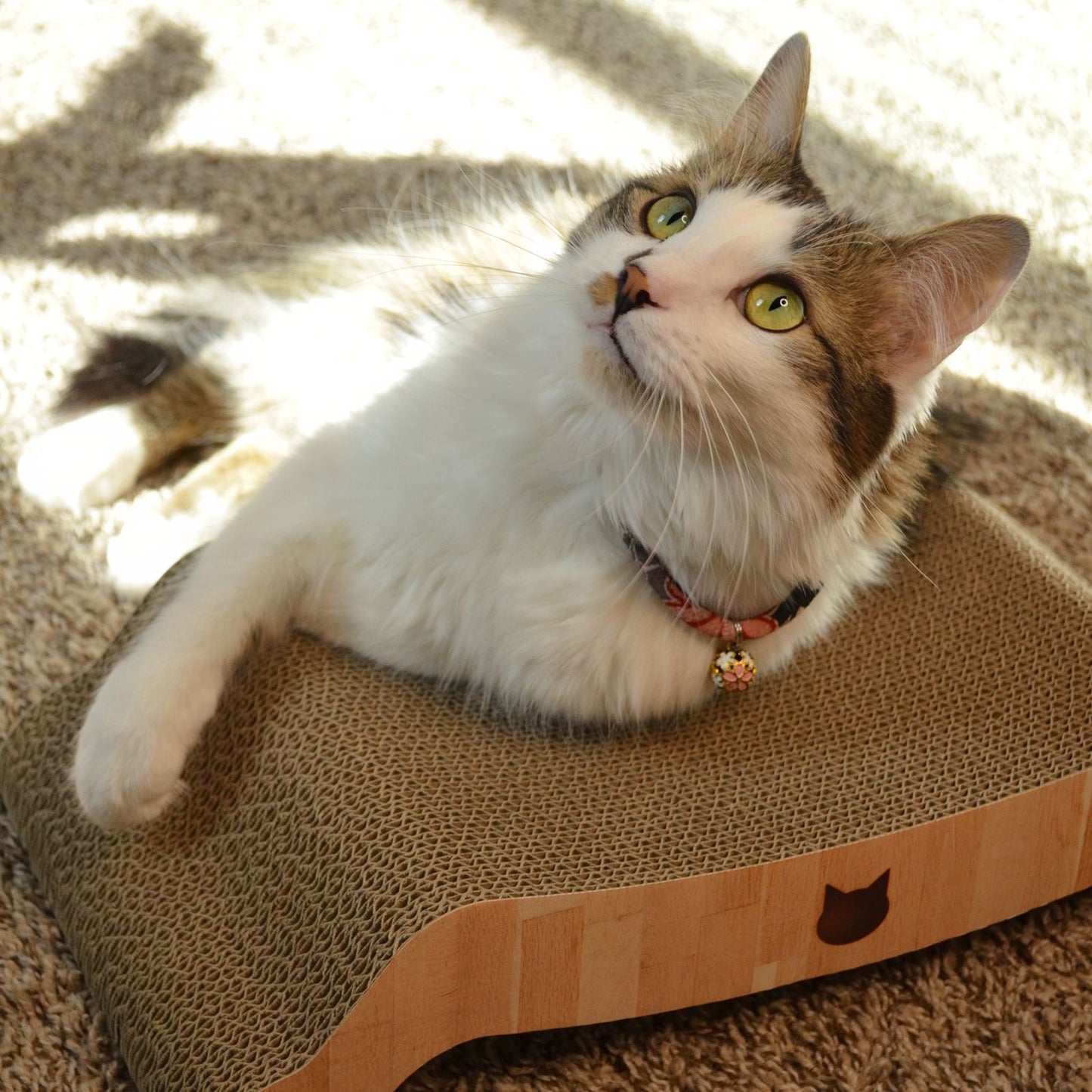 Premium Comfort Reversible Cat Bed (Oak)