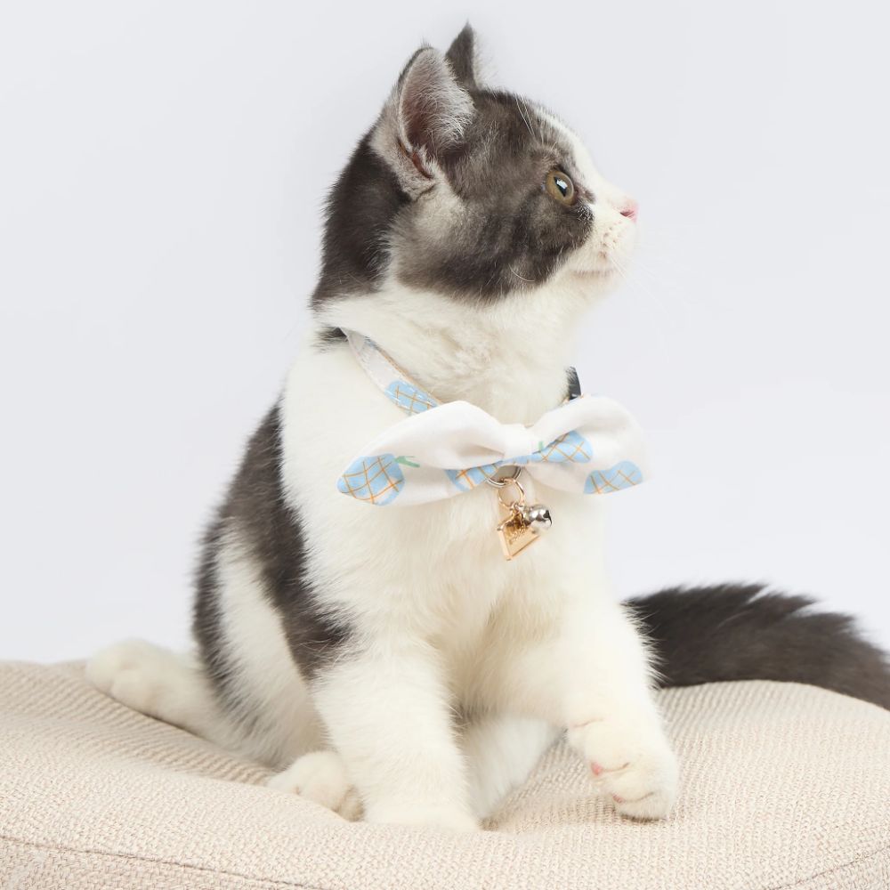 Touchcat Pineapple Patterned Designer Cat Collar - Blue