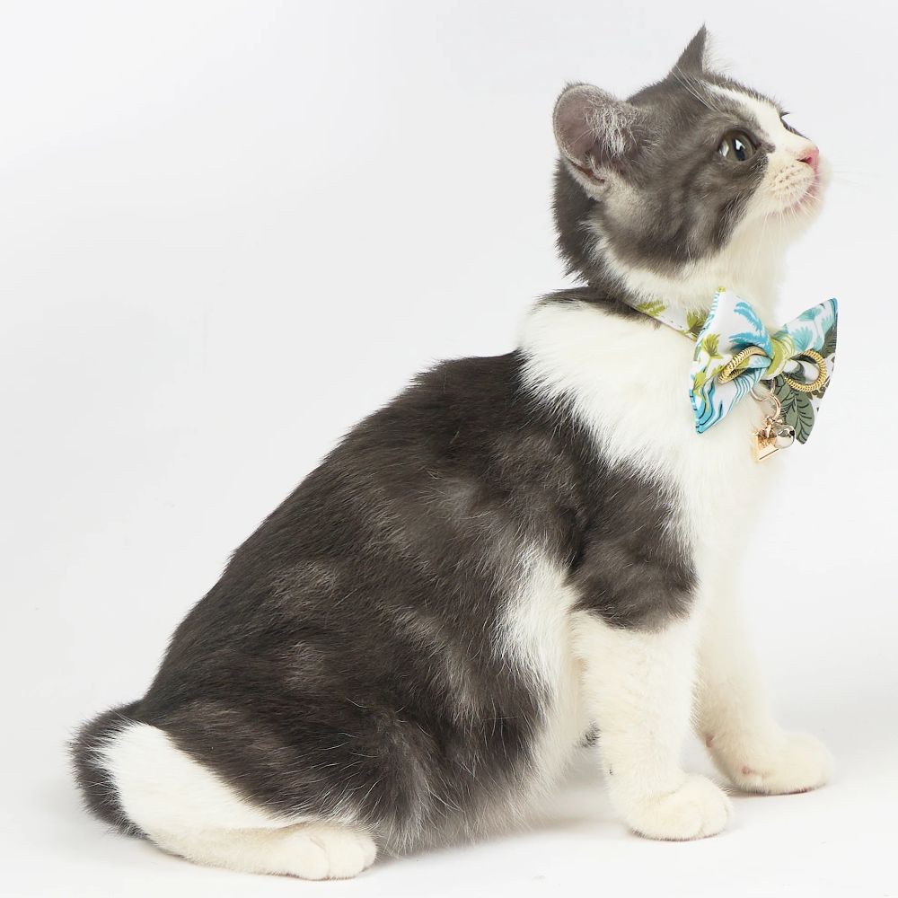Touchcat Tropical Patterned Designer Cat Collar