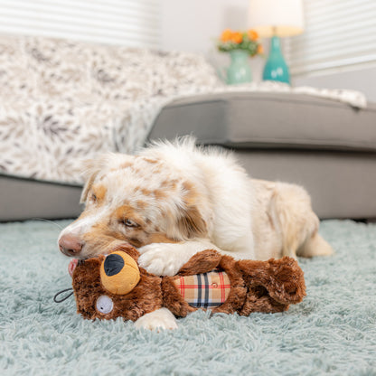 Slappies Beary Styles Dog Toy
