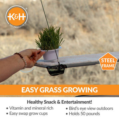 EZ Mount Window Lounger with Cat Grass Grow Station by K&H