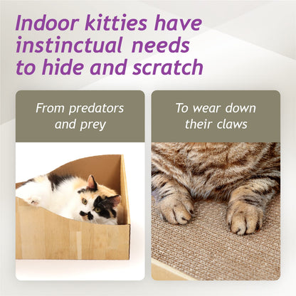 Hideaway Cat Scratcher Box (Oak)