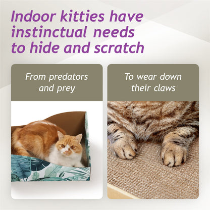Hideaway Cat Scratcher Box (Go Green)