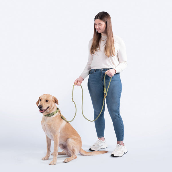 FURever Infinity Leash